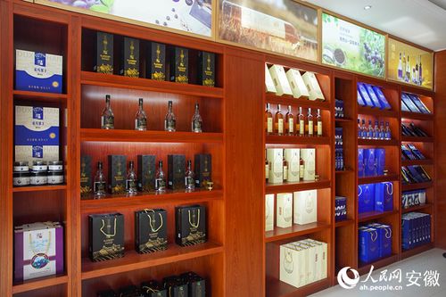新征程江淮行｜安徽懷寧 勾勒“莓”好藍圖，科技助力鄉村振興